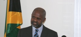 Irwine Clare, CEO Team Jamaica Bickle
