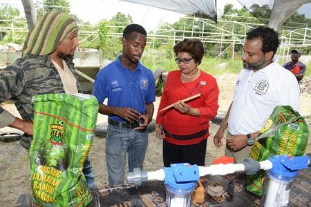  Travis Wilson (2nd left), Level 2 trainee, explains the bamboo manufacturing process to Jean Lowrie-Chin, Chairman, Digicel Foundation on Tuesday, March 31 at the unveiling of the Bamboo Processing Unit, built in partnership with the Digicel Foundation, at the New Horizons Christian Outreach Ministries in Spanish Town. Looking on, from left are Dr. Kadamawe K'Nife, Director, Office of Social Entrepreneurship, UWI and Michael Barnett, Executive Director, New Horizon Christian Outreach Ministries.