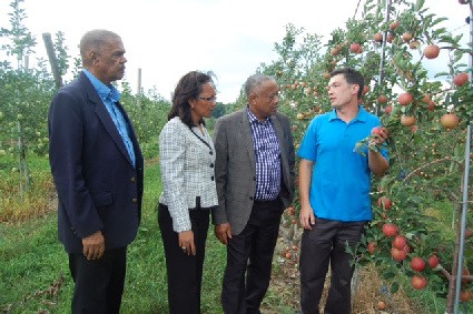 Apple grower Charles Hurd (R) discusses the differences in apple variety with Minister of Labour and Social Security, Derrick Kellier; Permanent Secretary in the Ministry of Labour and Social Security, Mrs. Colette Roberts-Risden and Chief Liaison Officer, Jamaica Central Labour Organization, Clayton Solomon (L). They were on a tour of the farm on Wednesday, August 19, 2015. (Photo Credit to Derrick Scott)