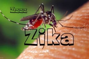 Health officials determine the islands of the Bahamas are Zika free