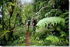 Trinidad and Tobago eco Tourism