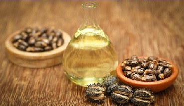 Jamaica developing castor oil industry for exports and investments