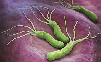 Treatment of H. Pylori infection