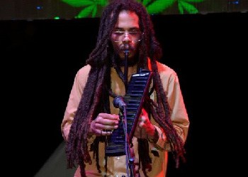 As Marijuana Industry Expands So Does Stepping High Ganja Festival with performance by Addis Pablo