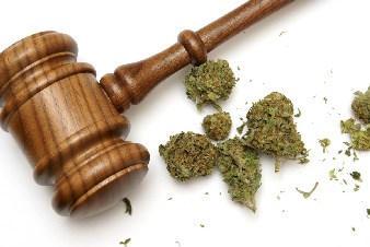 St Kitts-Nevis Judge Rules Rastafarians Have Right to smoke Marijuana in their Homes