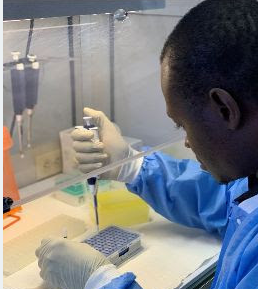 PAHO prepares 8 Caribbean countries for laboratory diagnosis of new coronavirus