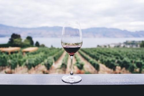 The Trending Wine Story - 5 reasons why Vegan Wine is trending in 2020