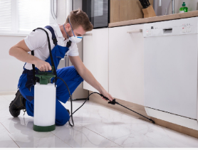 The Top 5 Benefits of Home Pest Control You Should Know About