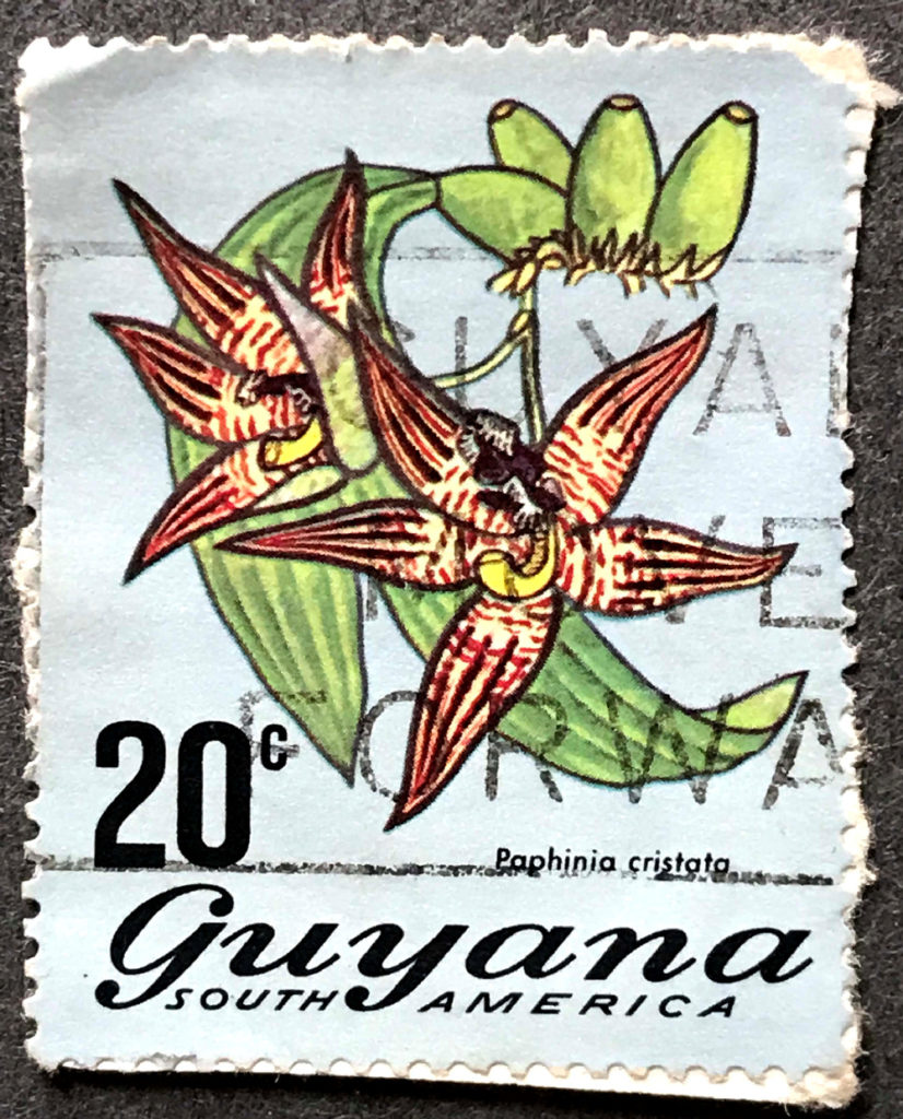 Stamp Collection Showcase in Tribute to Caribbean-American Heritage Month - Guyana