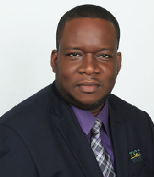Real Estate Experts in Jamaica Lauds First Online Property Auction - Kevin Knightingale