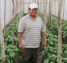World Bank Provides US$8 Million to Strengthen Agriculture and Food Security in Belize
