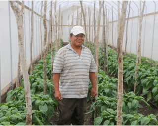 World Bank Provides US$8 Million to Strengthen Agriculture and Food Security in Belize