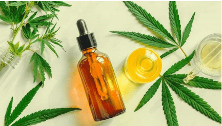 Where To Buy And How To Use Organic CBD Oil For Dogs