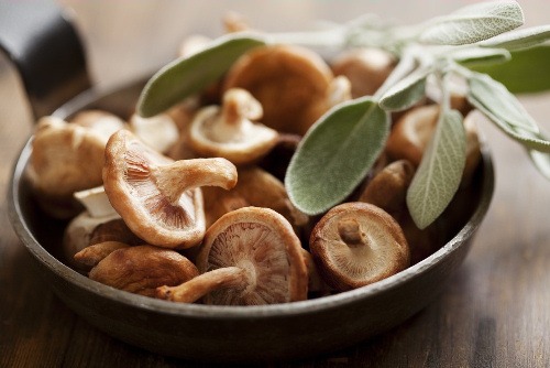 Shiitake Mushrooms Can Help Boost Your Immune System