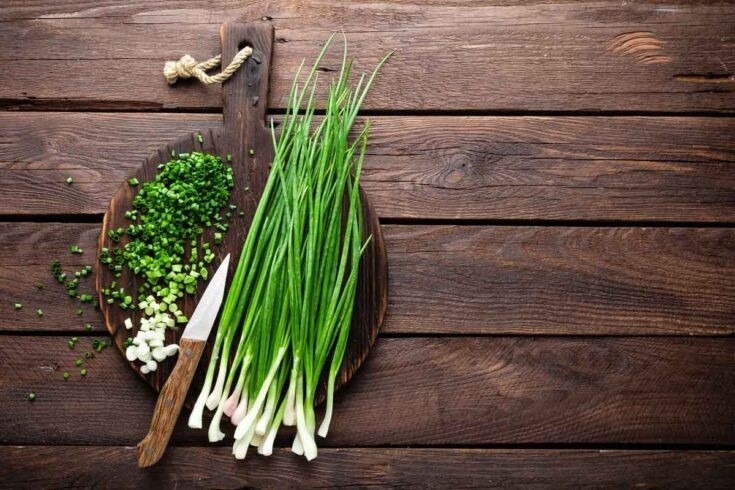 8 Herbs You Can Grow and Eat at Home - Chives