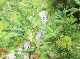 Jamaica Pursues Wellness Focused Tourism Initiative, Discover Jamaica By Bike