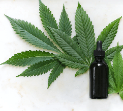 The Ultimate Buying Guide to CBG (Cannabigerol)