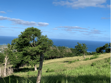 Kennedy Funding Closes $1.4 Million Land Loan in Clarendon, Jamaica