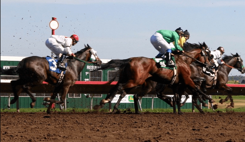 How Does Horse Racing Compare Between the UK and USA?