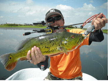 South Florida Fishing Tips 