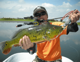 South Florida Fishing Tips