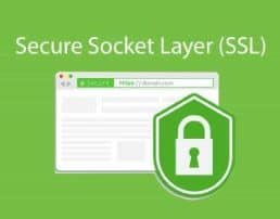 Secure your Subdomains with a Wildcard SSL Certificate