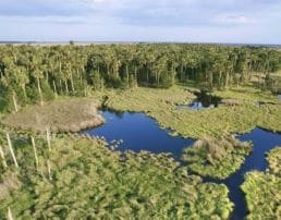 Smart Stewardship: Preserving South Florida’s Landscape