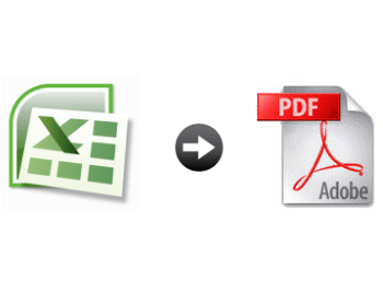 Microsoft Excel Spreadsheet Using A PDF File