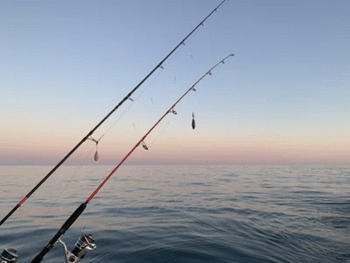 Improve Your Fishing Skills