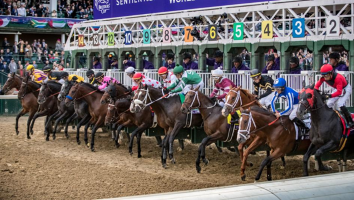 Preparations For Breeders Cup Pick Up Pace
