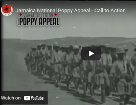 Jamaica National Poppy Appeal
