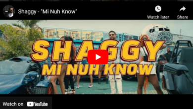 Shaggy "Mi Nuh Know"