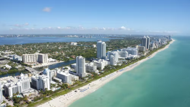 growing Miami Neighborhoods