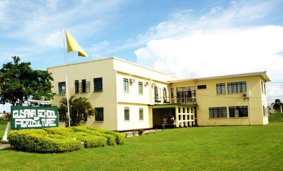 education in guyana