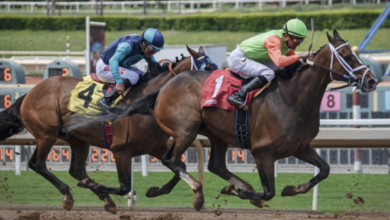Horse Racing Betting Strategies