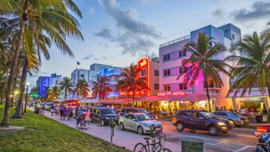 Miami Arts, Culture & Heritage Months