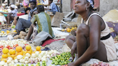 Food Shock Window to Haiti