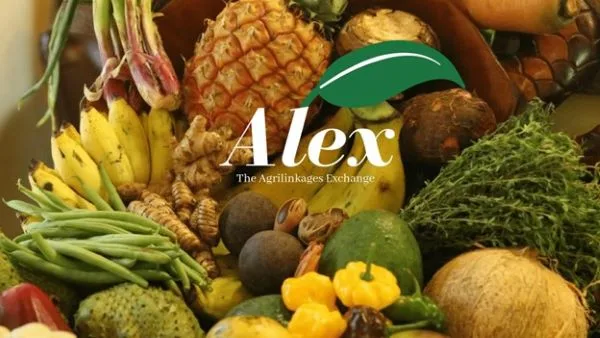 ALEX Platform Helps Jamaican Farmers Reap $108 Million in Revenue