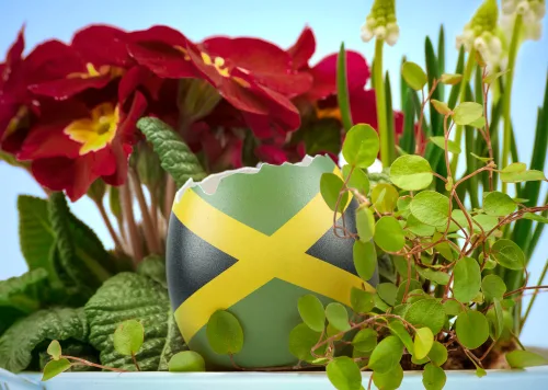 Holy Week: A recollection of Easter in Time in Jamaica