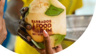 Ayra Starr Barbados Food and Rum Festival