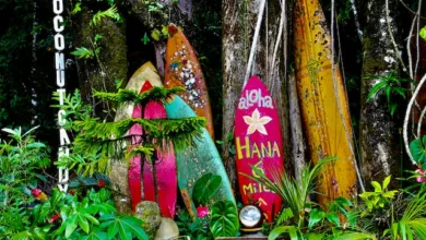 Surfboards on the Road to Hana - How to Make the Most of Your Hawaiian Adventure