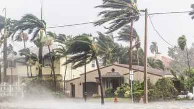 Does Florida Renters Insurance Cover Loss Due To Hurricanes?