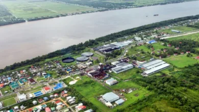Opportunities in Guyana's Booming Economy