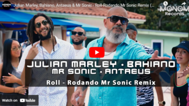Roll-Rodando Mr Sonic Remix
