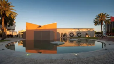 MOCA North Miami Announces Open Call for Art on the Plaza 2024