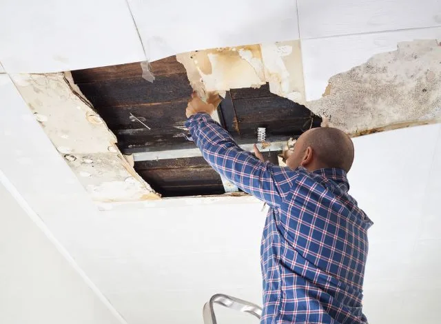 Guide To Water Damage Restoration