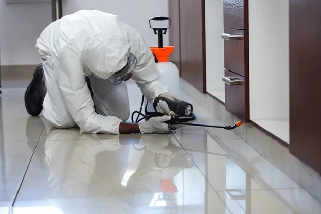 What to Expect During a Free Pest Control Inspection