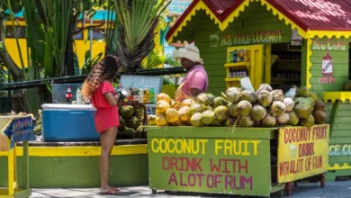 Jamaica Sets Record of Visitors and Earnings for 2023