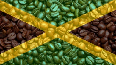 Jamaican Consulate Brews Literary Festival and Movies To Support The Arts
