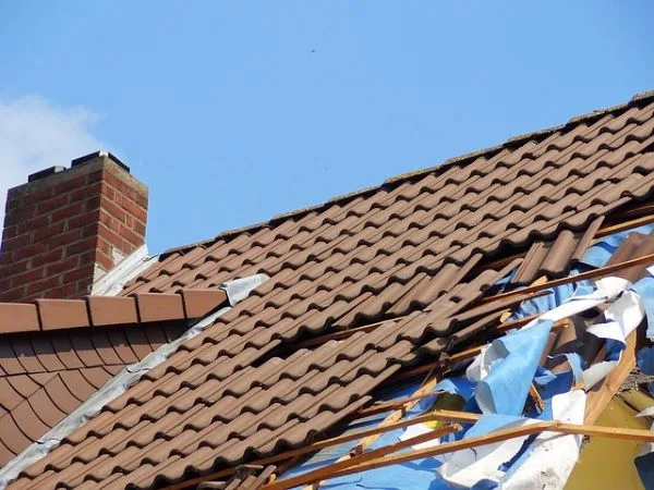 Health Hazards and Consequences of Neglected Roof Maintenance
